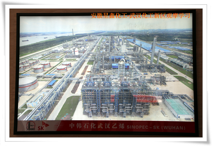 安徽星鑫化工科技有限公司-武汉化工新区80万吨/年乙烯项目参观学习